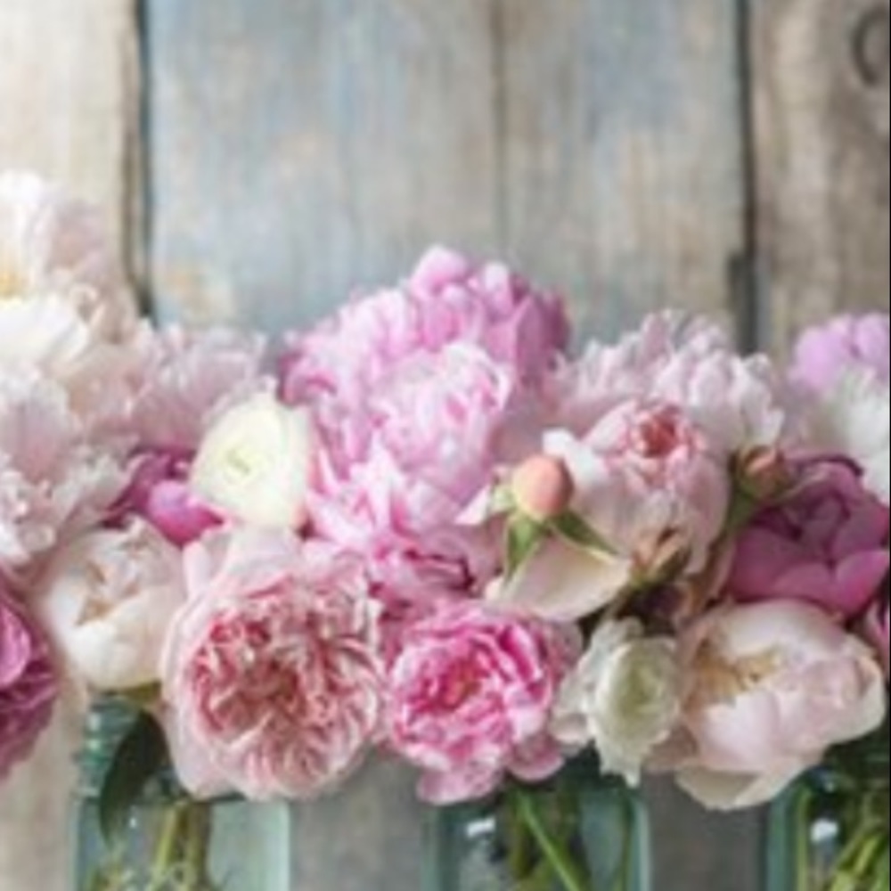 Meet your Posher, Tm